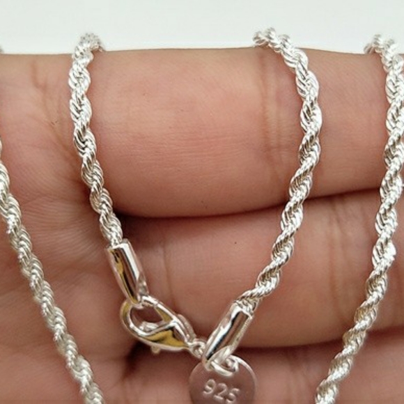 Silver Plated Fried Dough Twist Chain Necklace - Picture 2 of 7